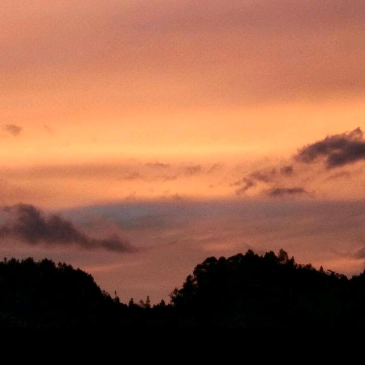 💗᭄余生ᝰᩚ随心ꦿ໌ᮨ້⁵²º