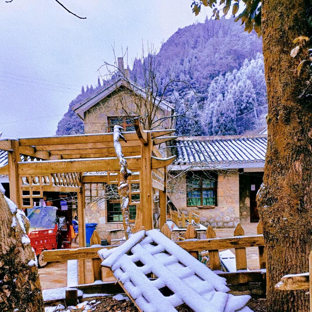 ●灵ぎ魂お摆ぱ度お