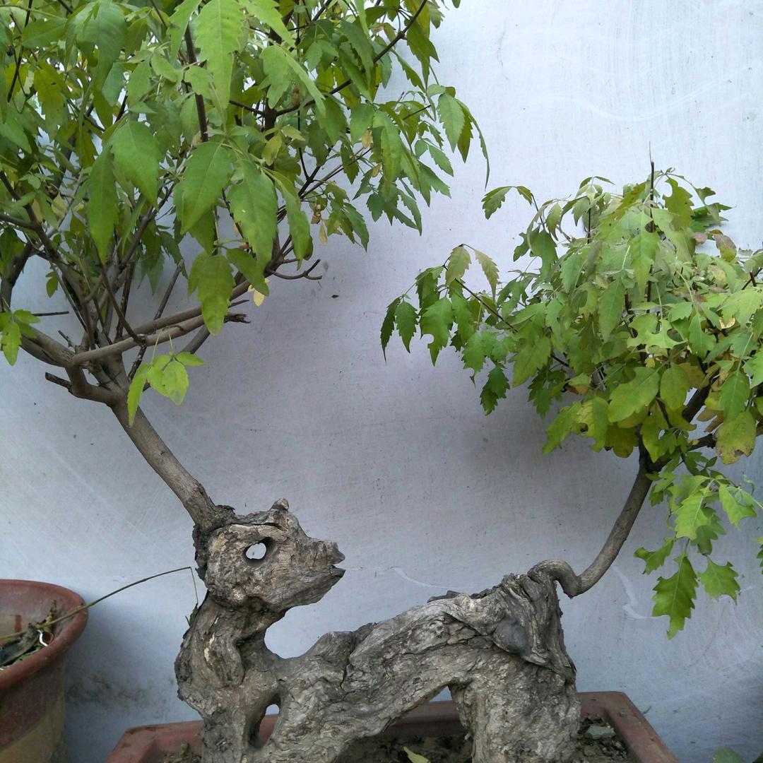 山东省滨州市，勇闯天涯