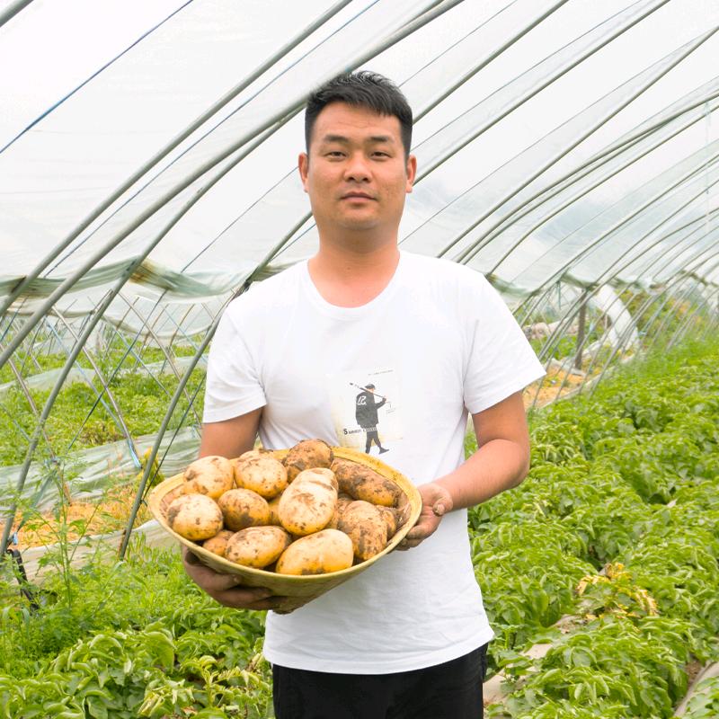 上蔡县梁飞种植专业合作社