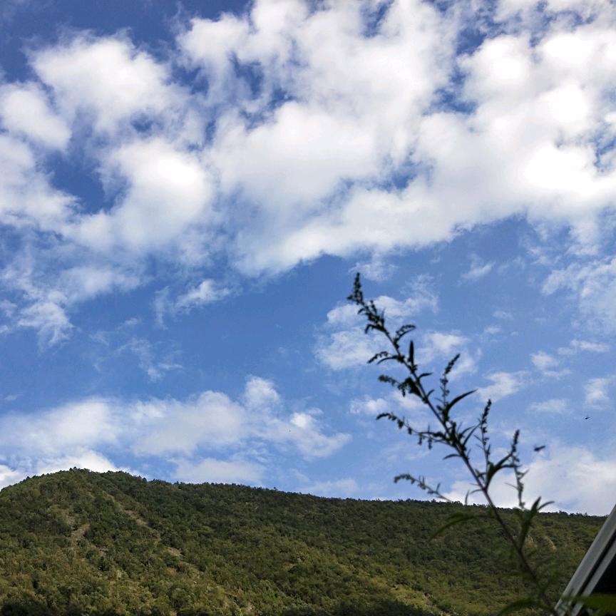 正在奔跑的年轻人