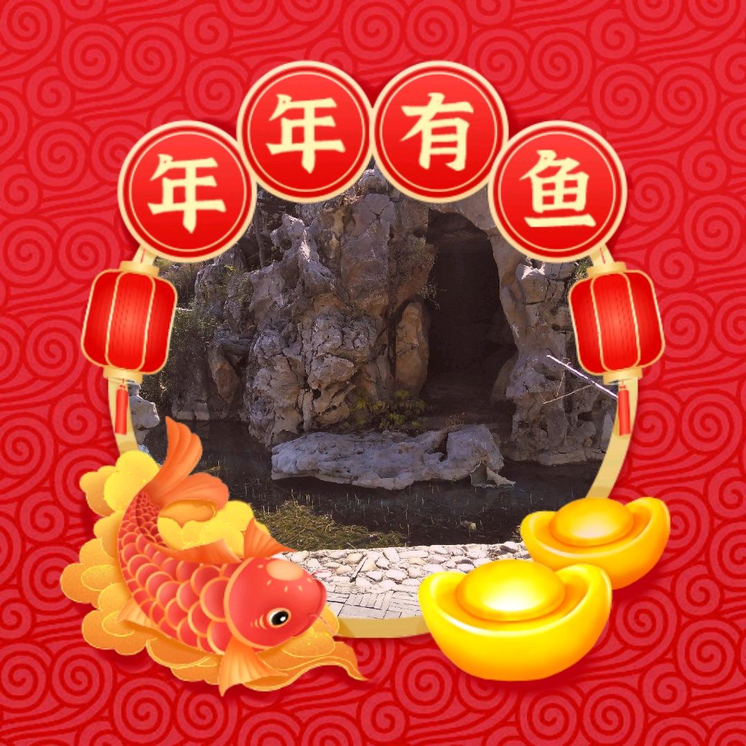 无怨无悔