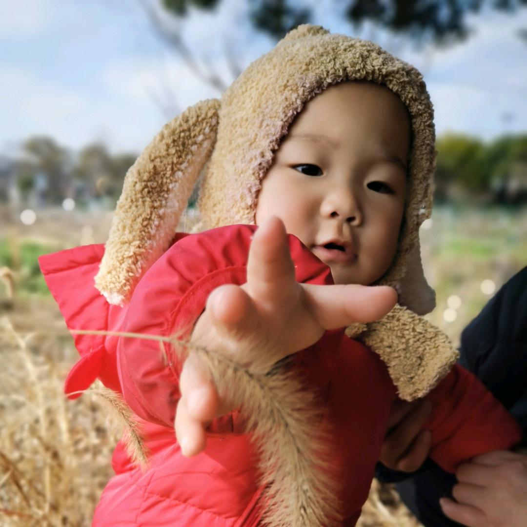 养🐷专业户