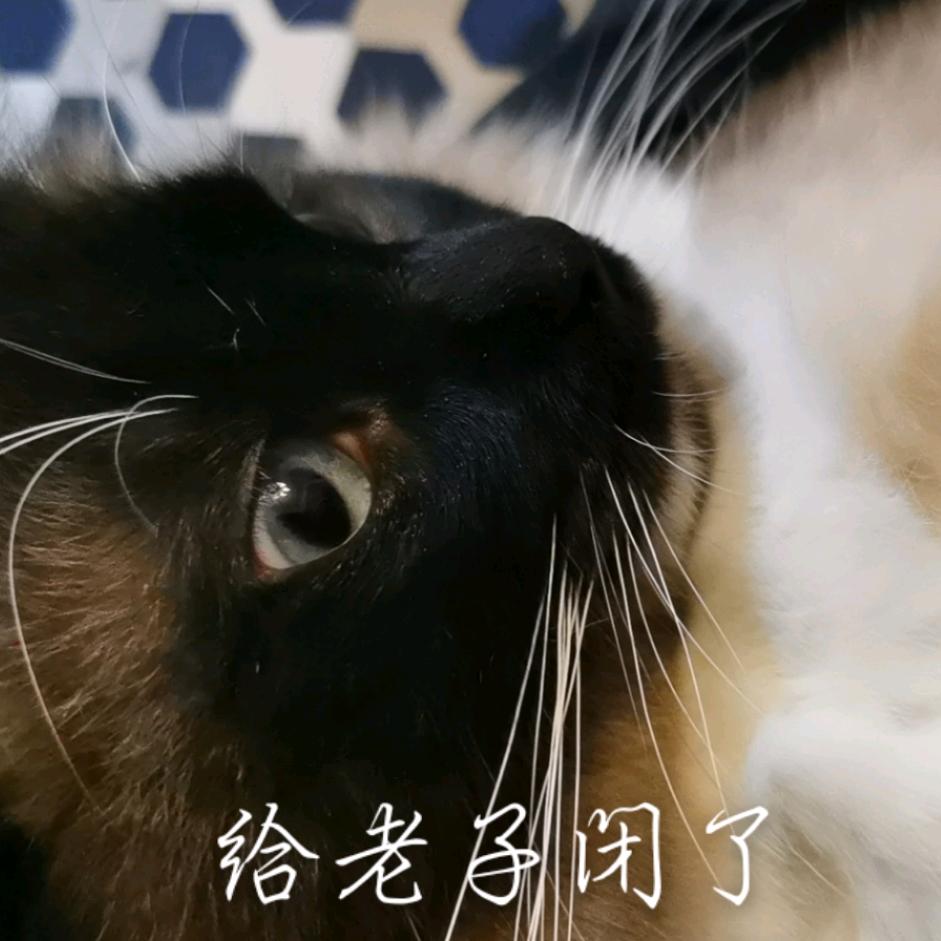 老衲法号名富贵