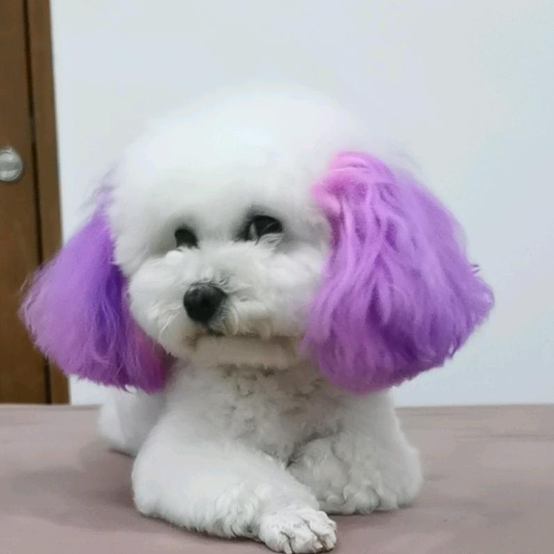 深水炸弹