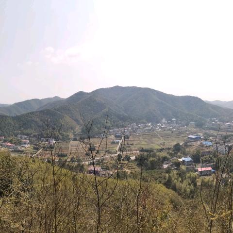 sunny森伟