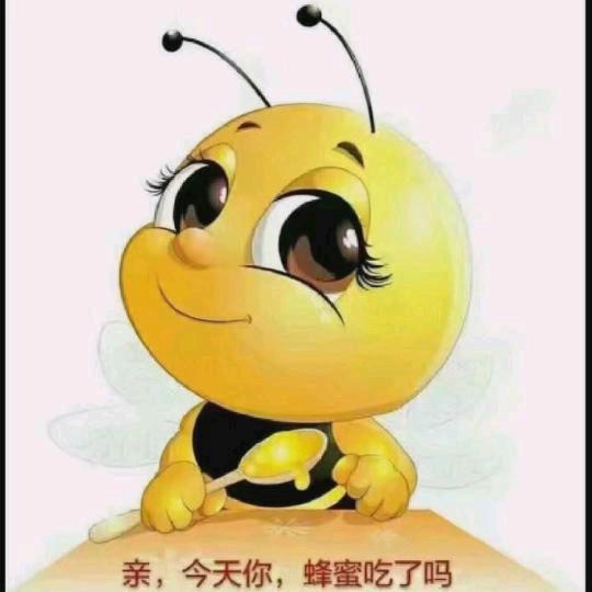 云南9527