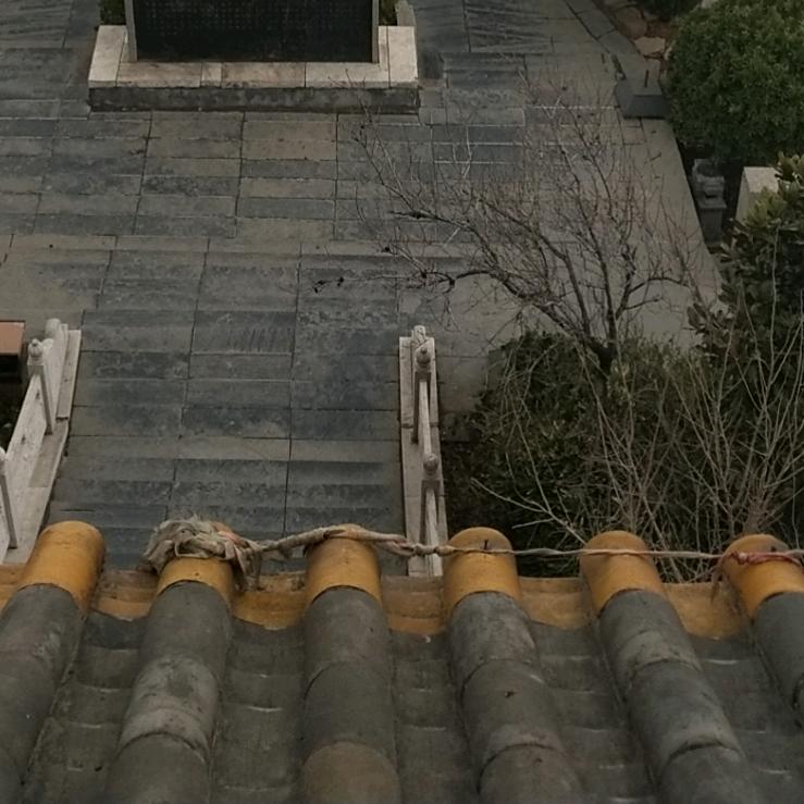 老三带你潇洒带你嗨