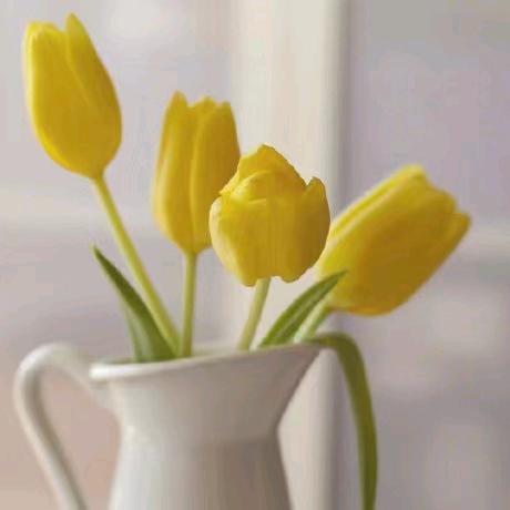 萧记烩面三全路店