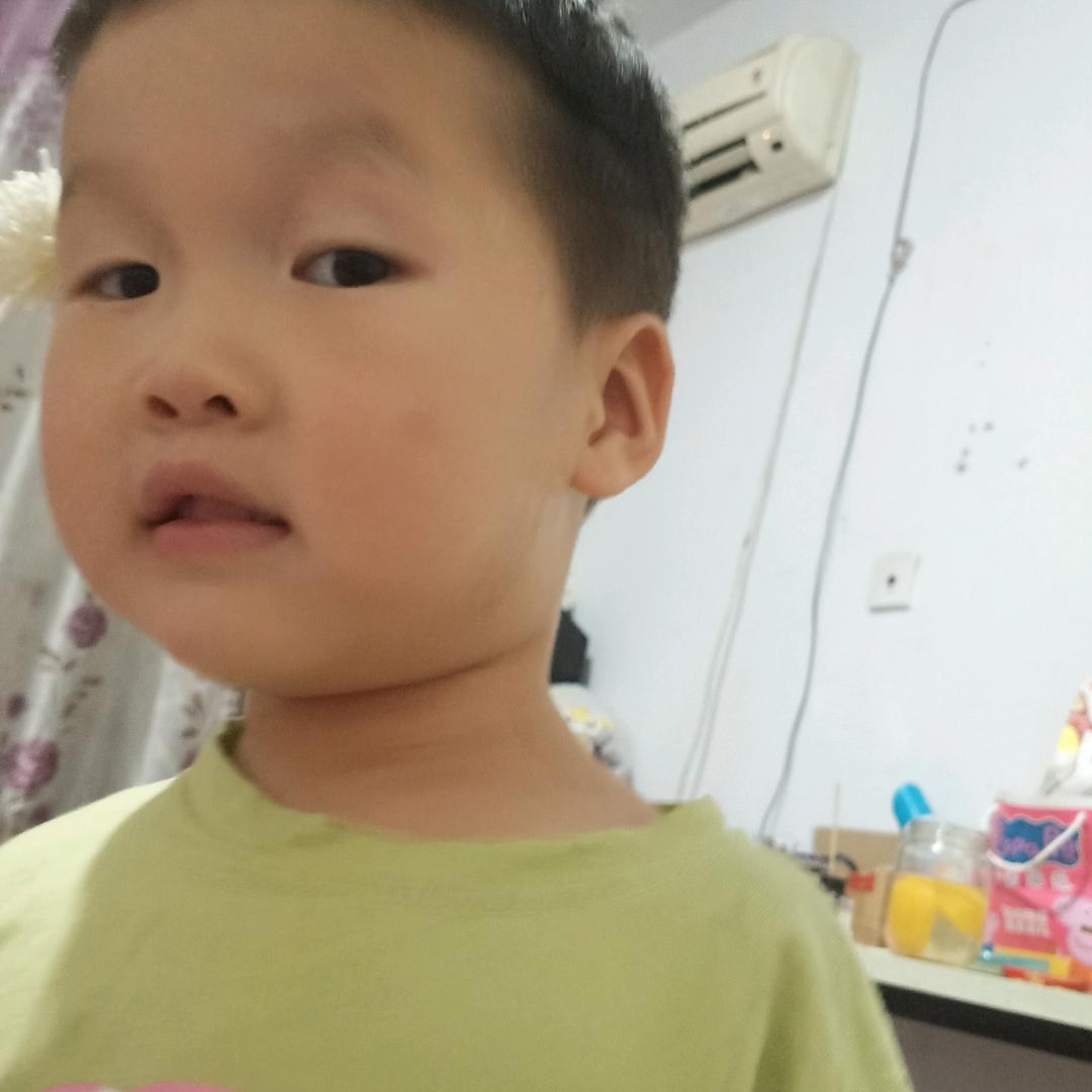 杨家姑娘……回族