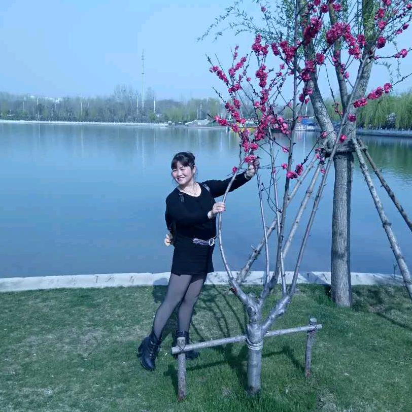 白玫瑰