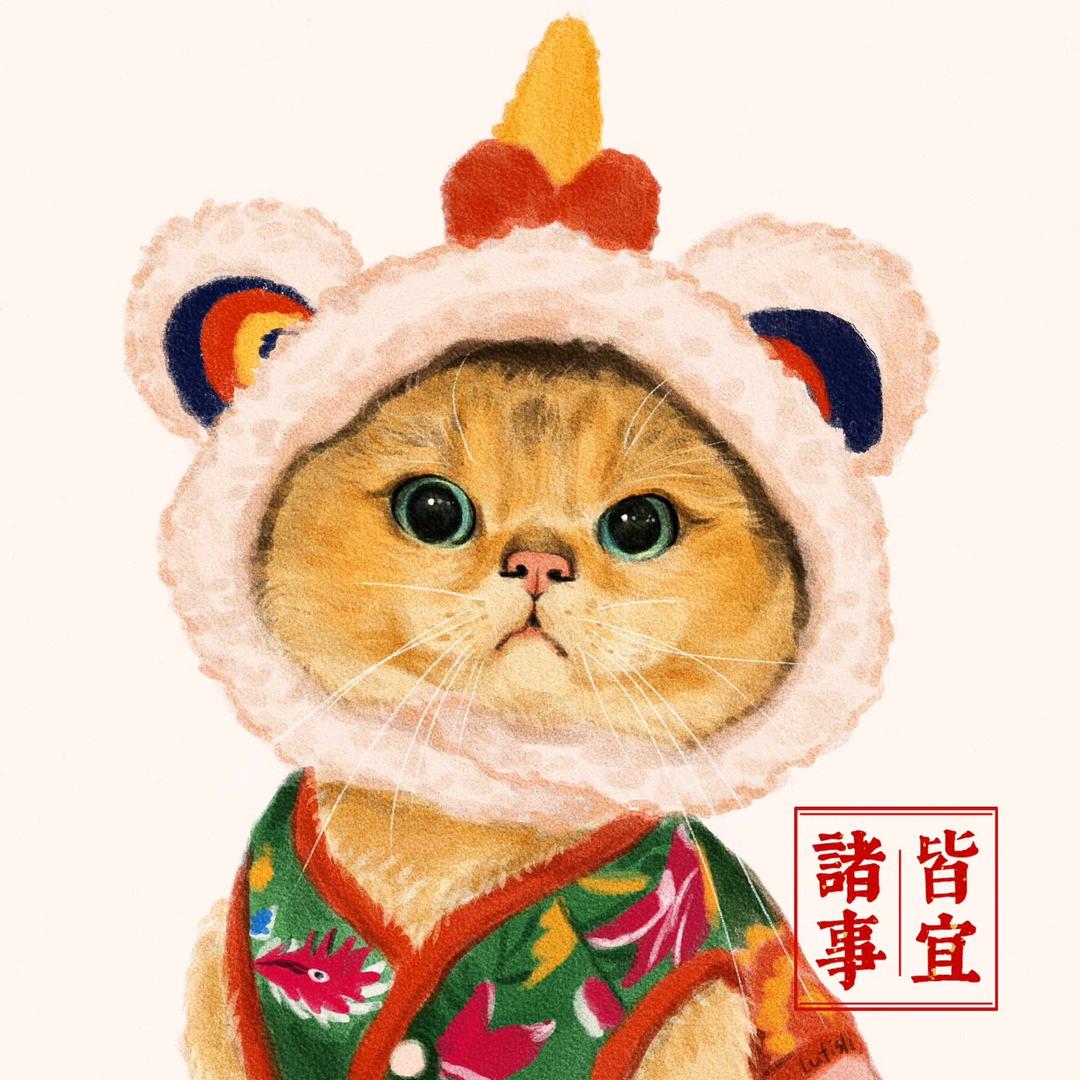 懒猫追剧