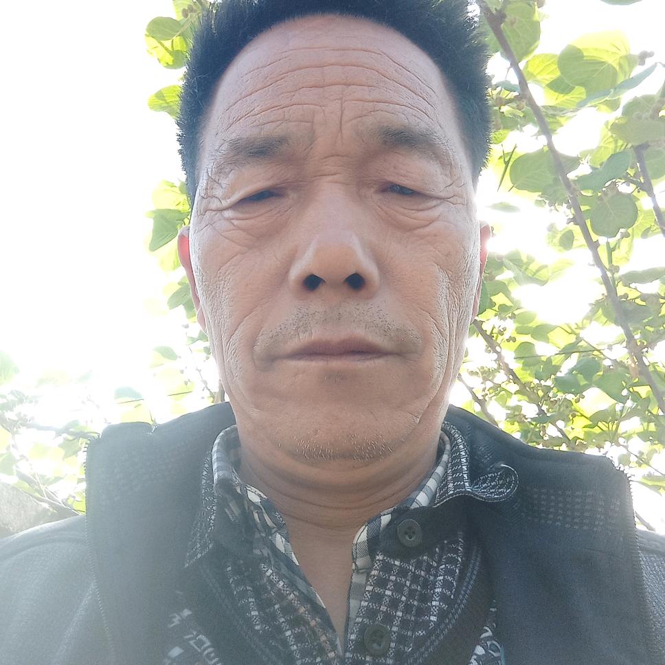 福由善来