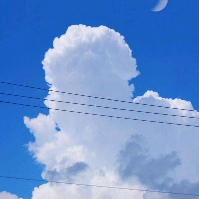 北漂
