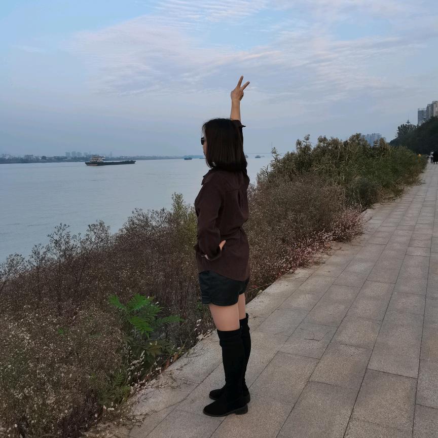 晨晨