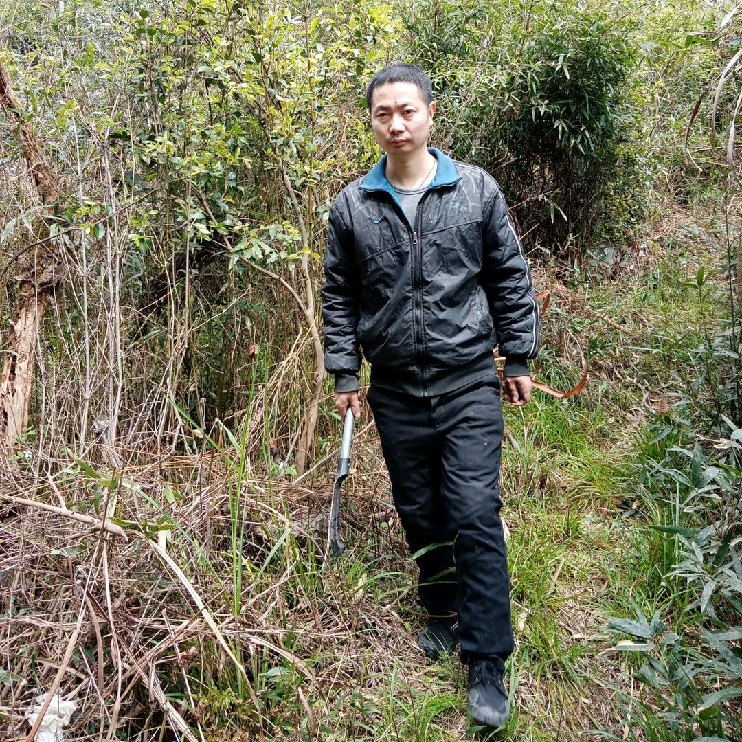 冬去春来=恪守本心~不忘初心