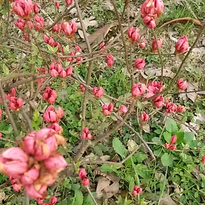 幸福美满
