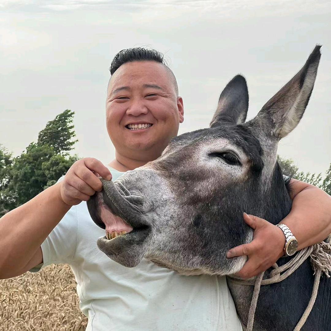 官场刘家驴肉二胖