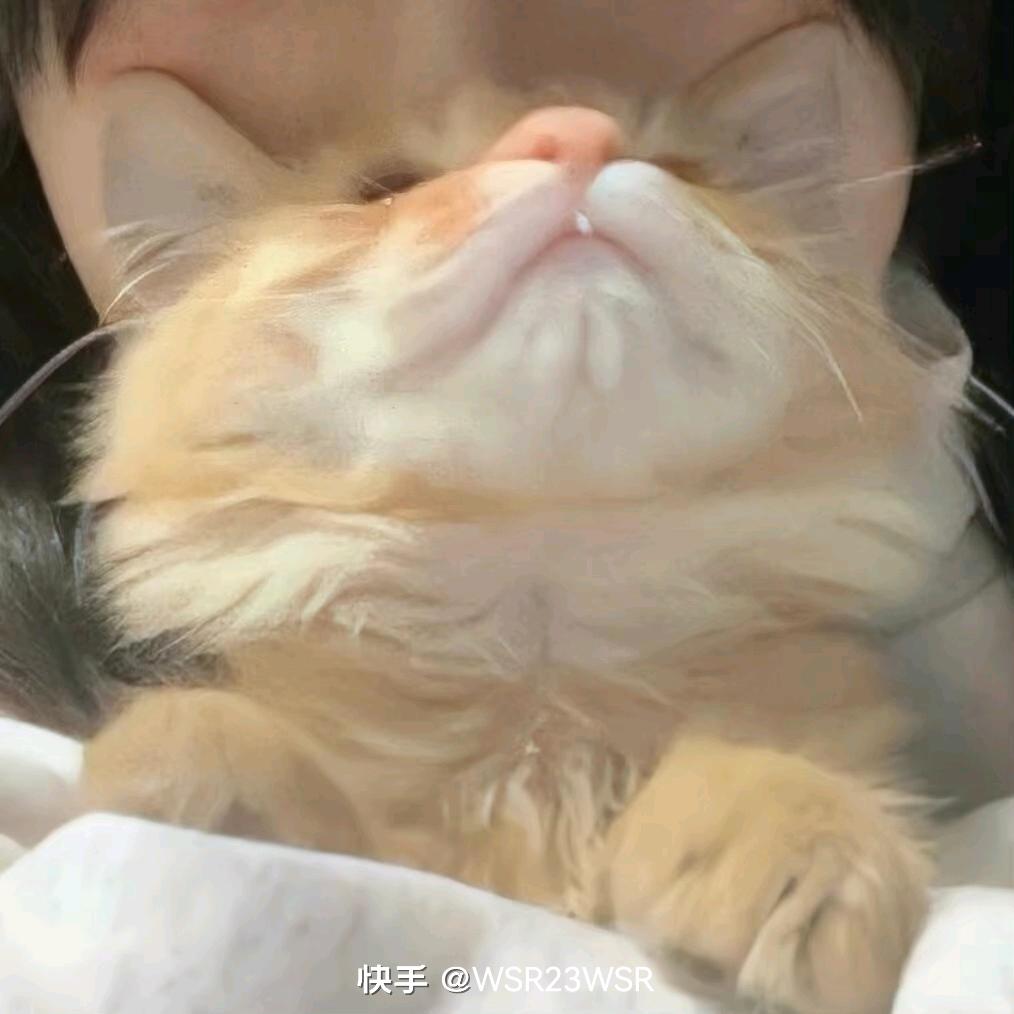 🌈看不到月亮.