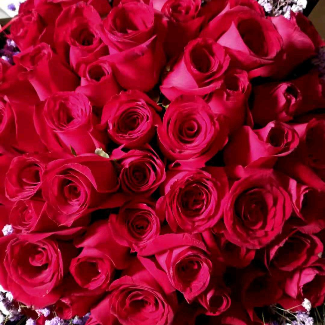 ♡Lᵒᵛᵉᵧₒᵤ♡冯心※锁爱