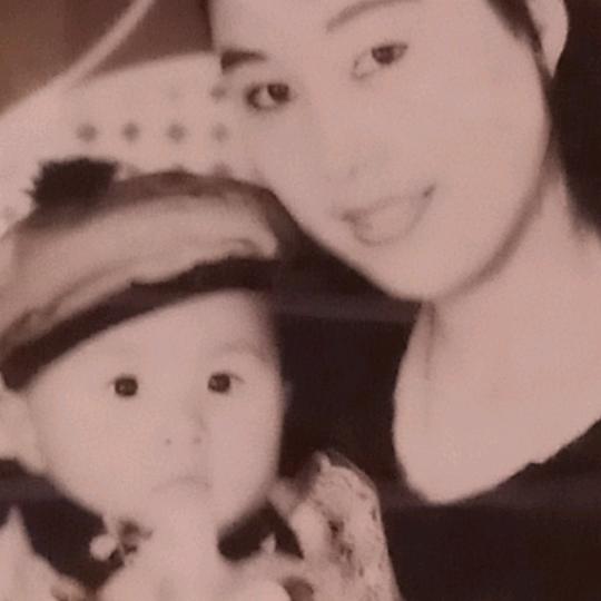 一素简单的玫瑰🌹