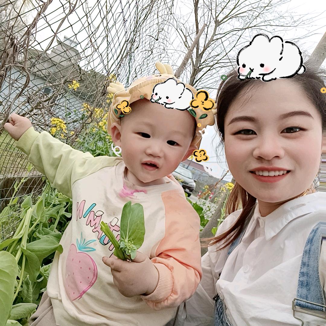 张杰的星星⭐️