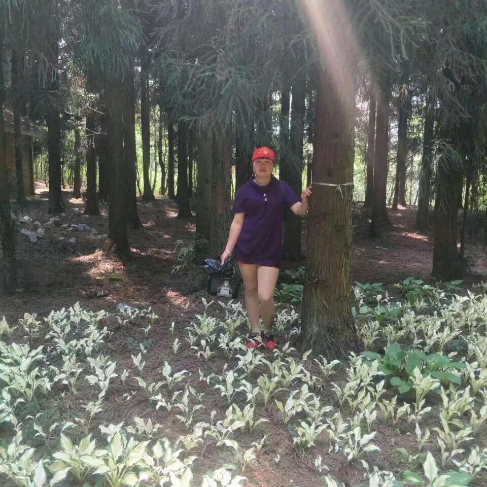 有缘的相遇