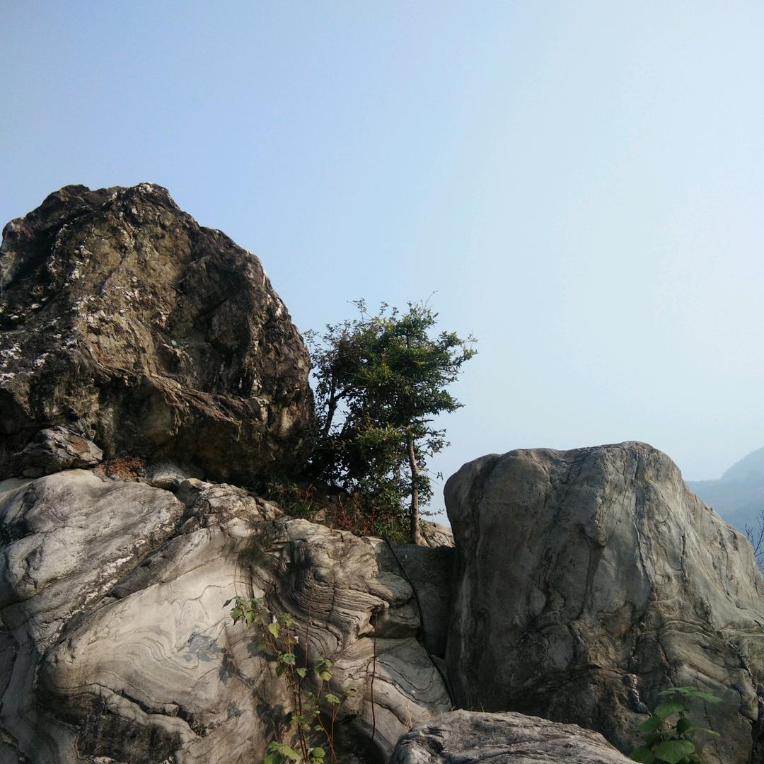 观沧海