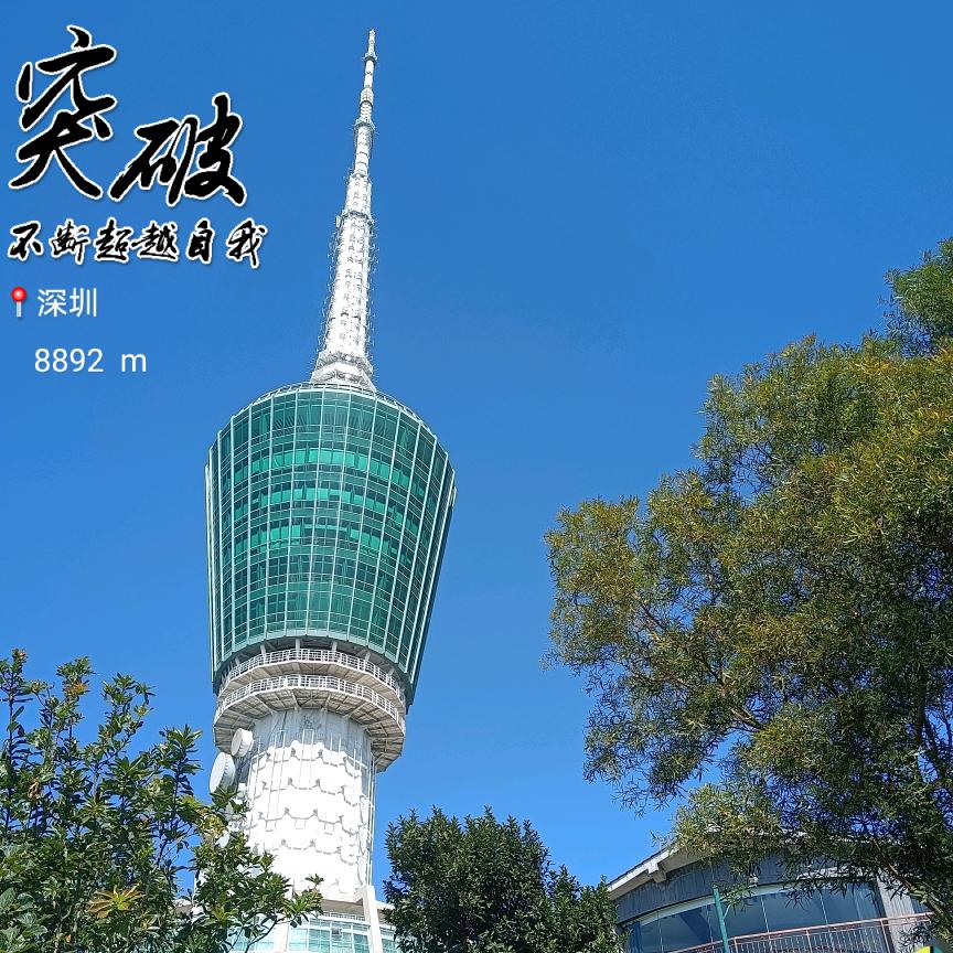 小叶数码