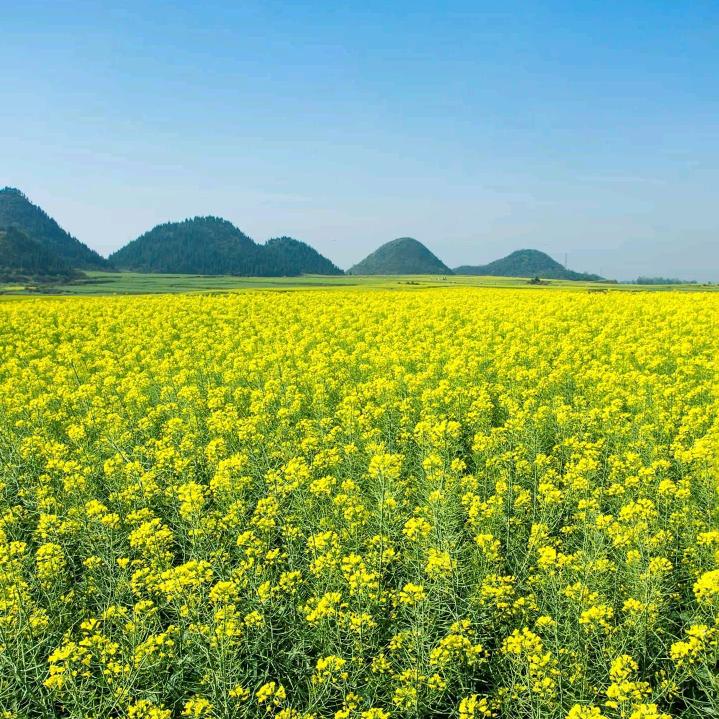 悠悠岁月
