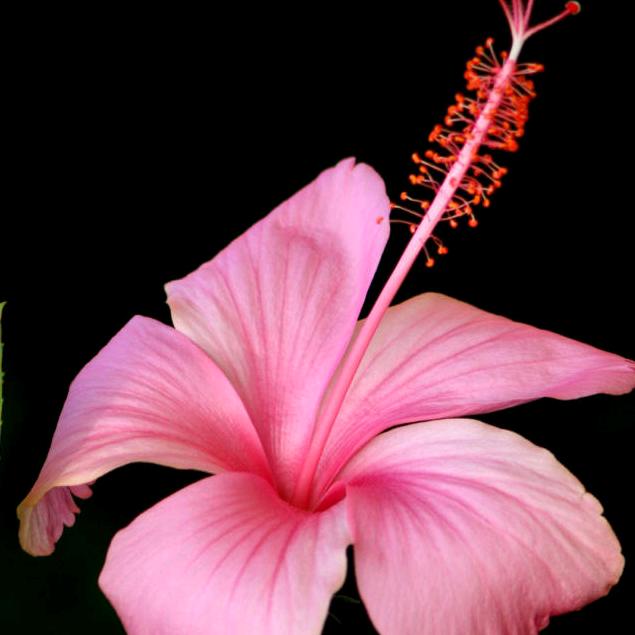 如意请勿打扰🐲¹⁹₇₆