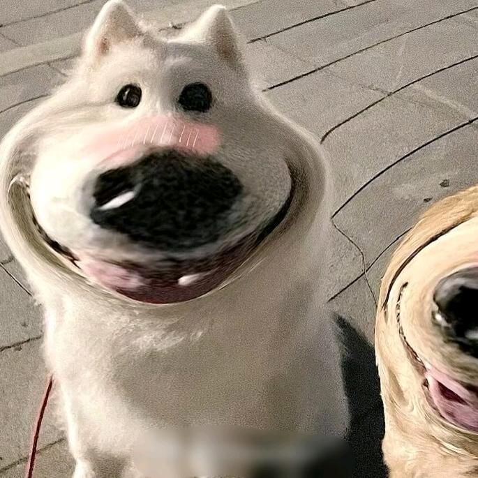 一只快乐无忧的小🦆（好运连连）