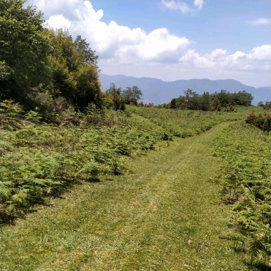 缘分让我认识了你