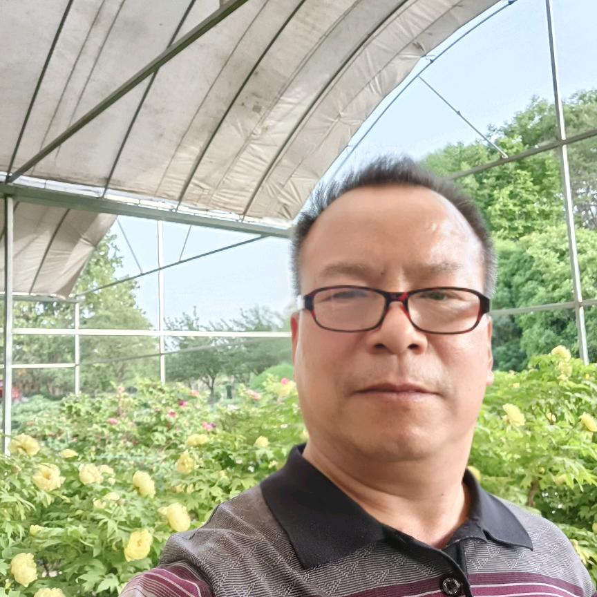 老妈妈开心快乐