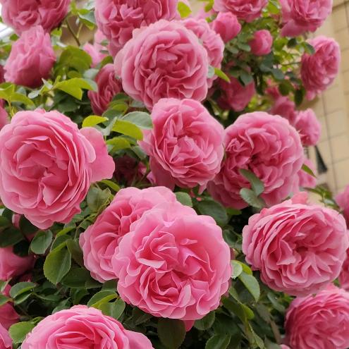 🌈微笑阳光🌈