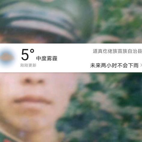 六三年的兔