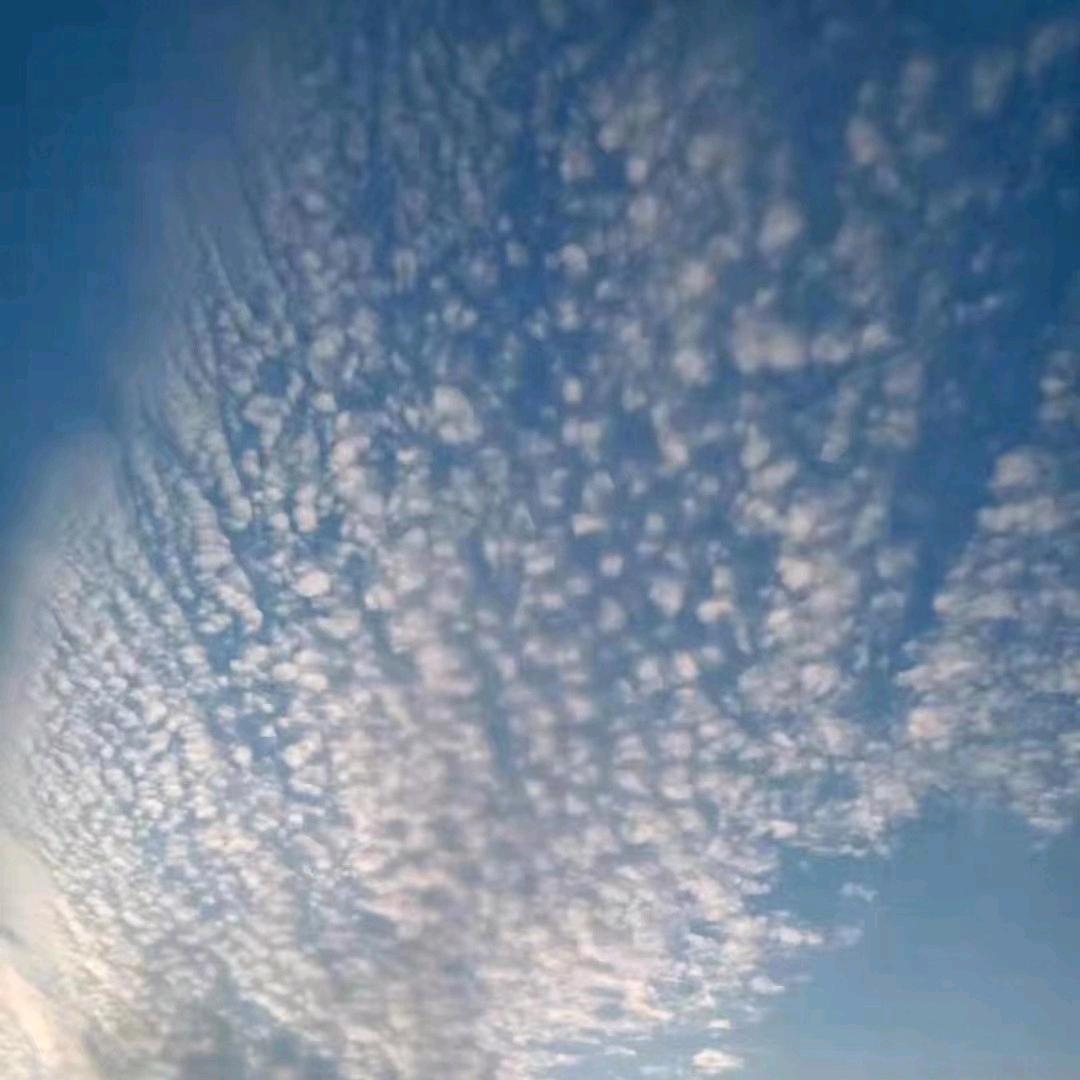 雾霾团娲宝