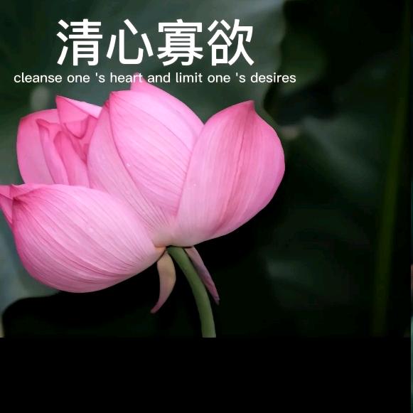 木马🌱