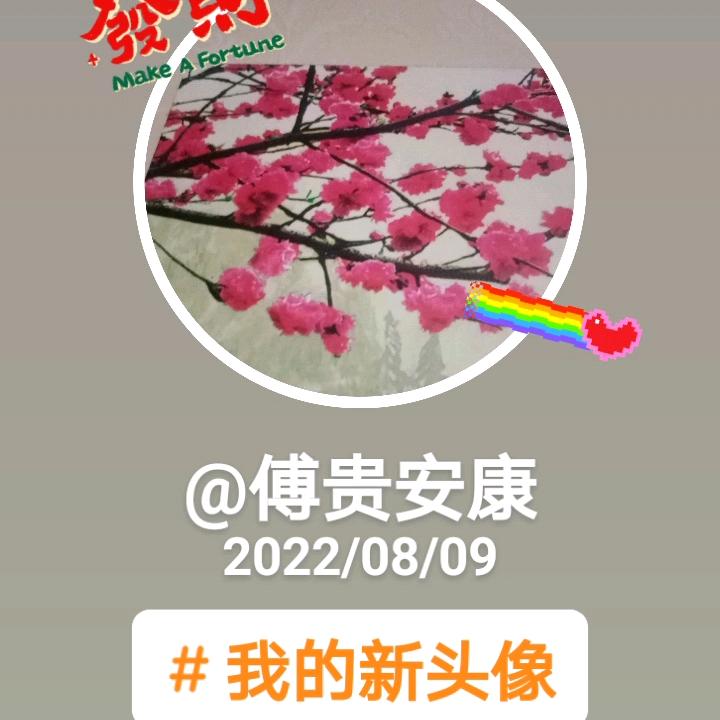傅贵安康