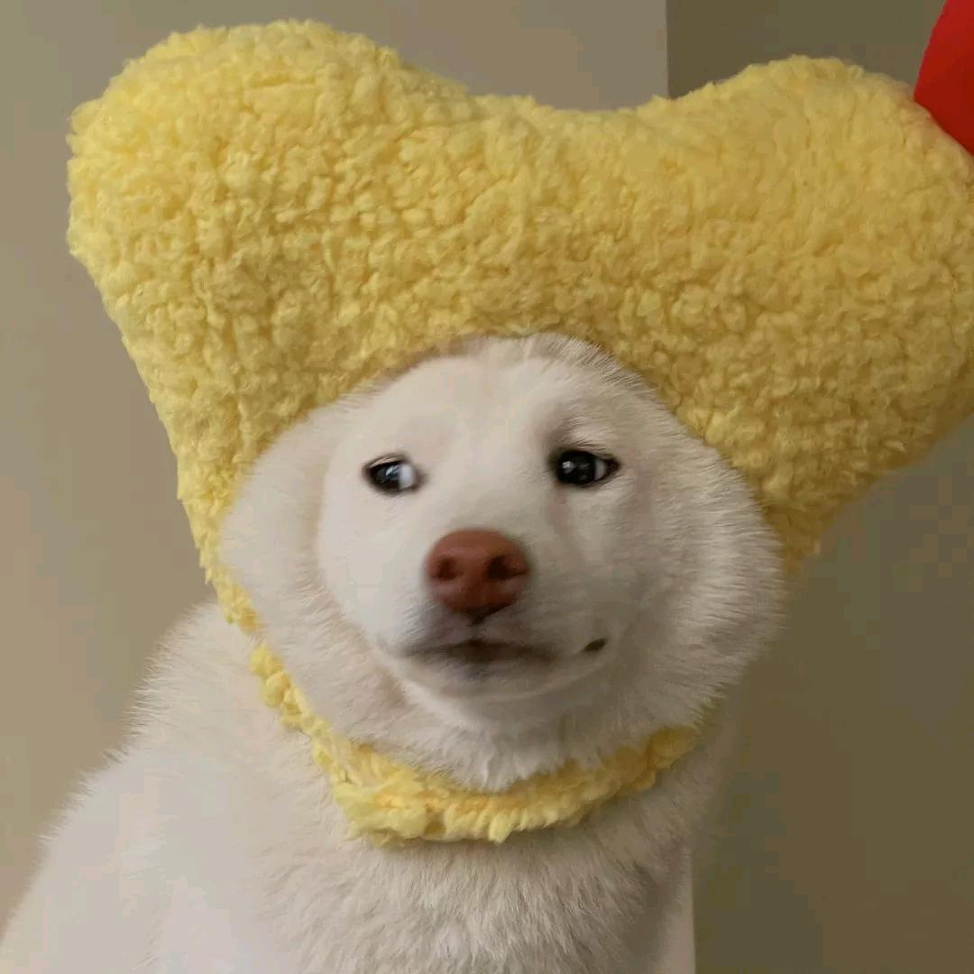 六月