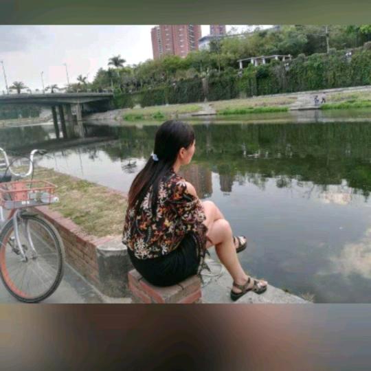 看海的雨