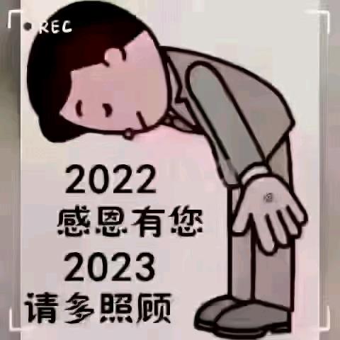 鲜花插在牛粪上