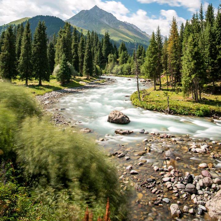 つ微凉徒眸意浅挚半