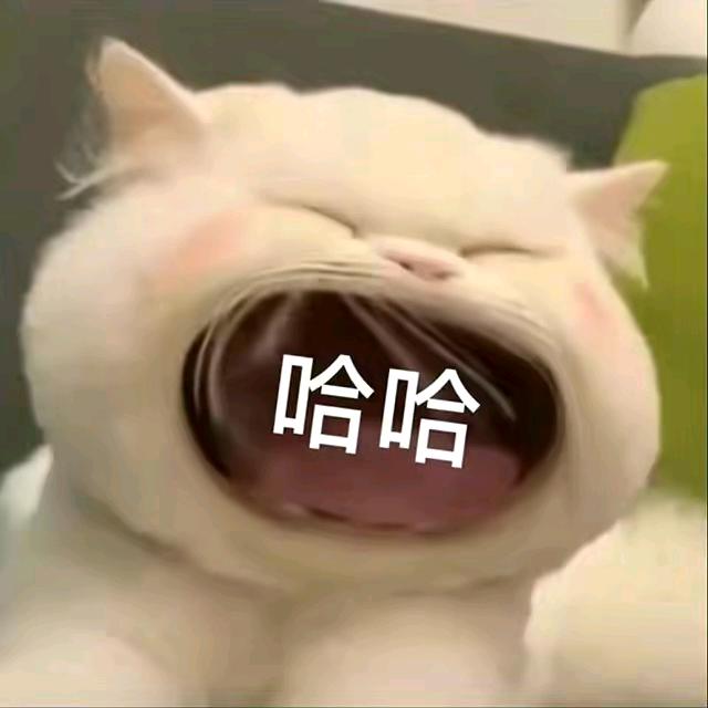 哈哈·