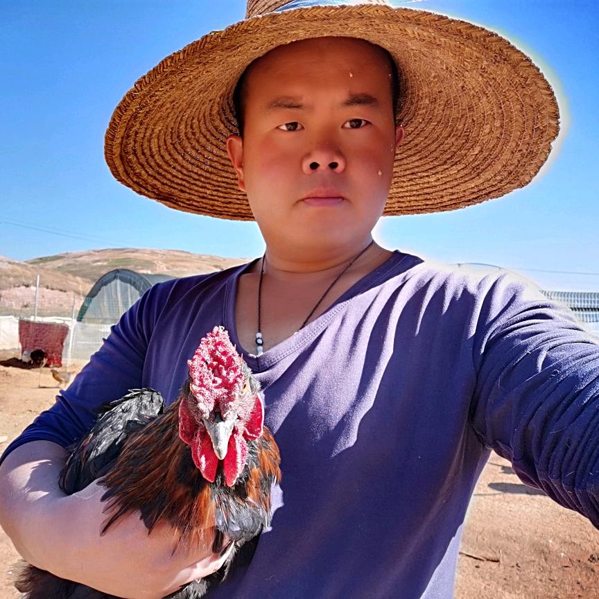 阿文