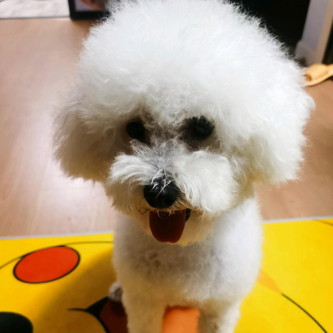 🌈🌟SaKaKiki🐶是吃货