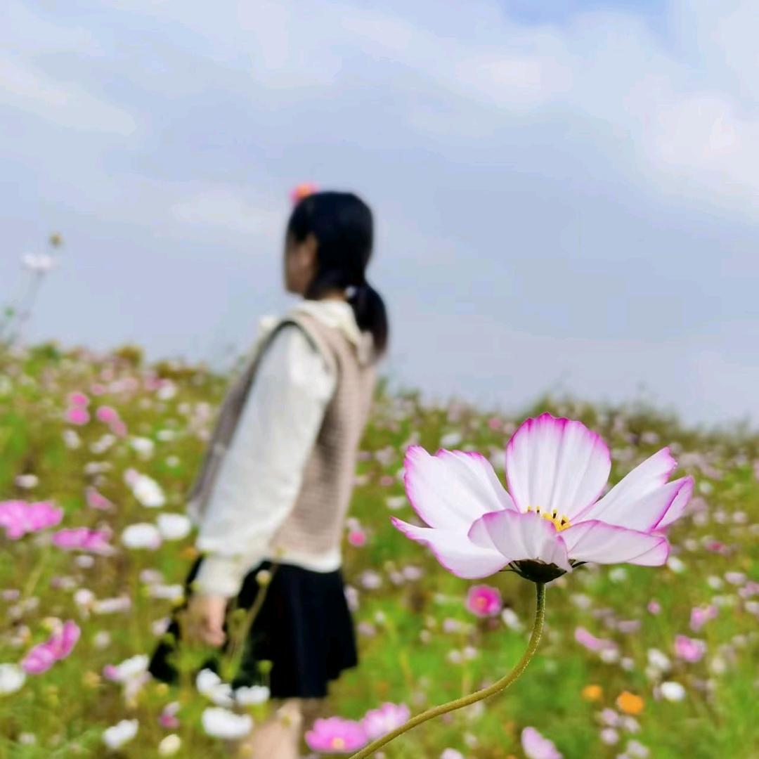 快乐的兔子