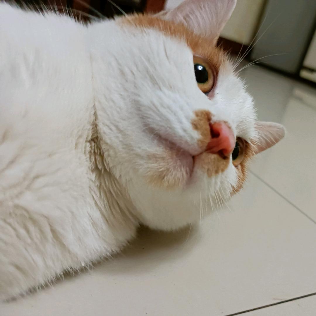 福杯满益