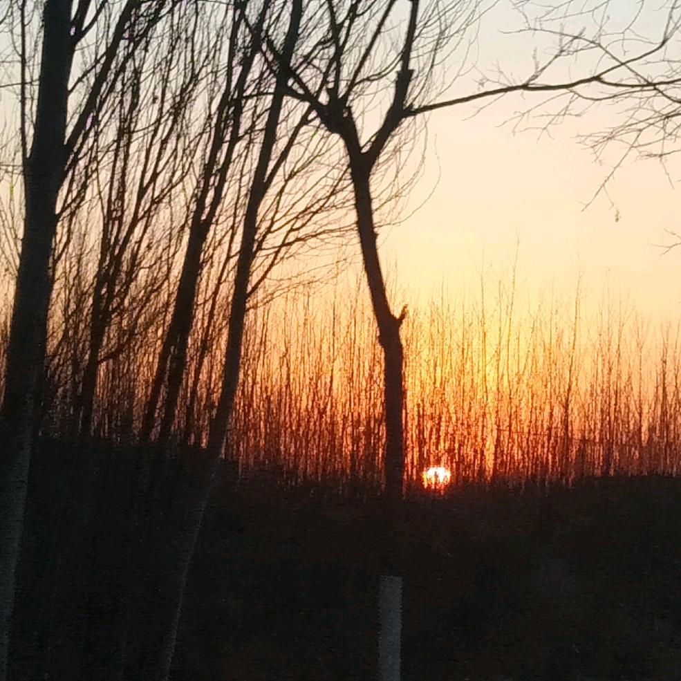 缔结梁缘💞共杜余生