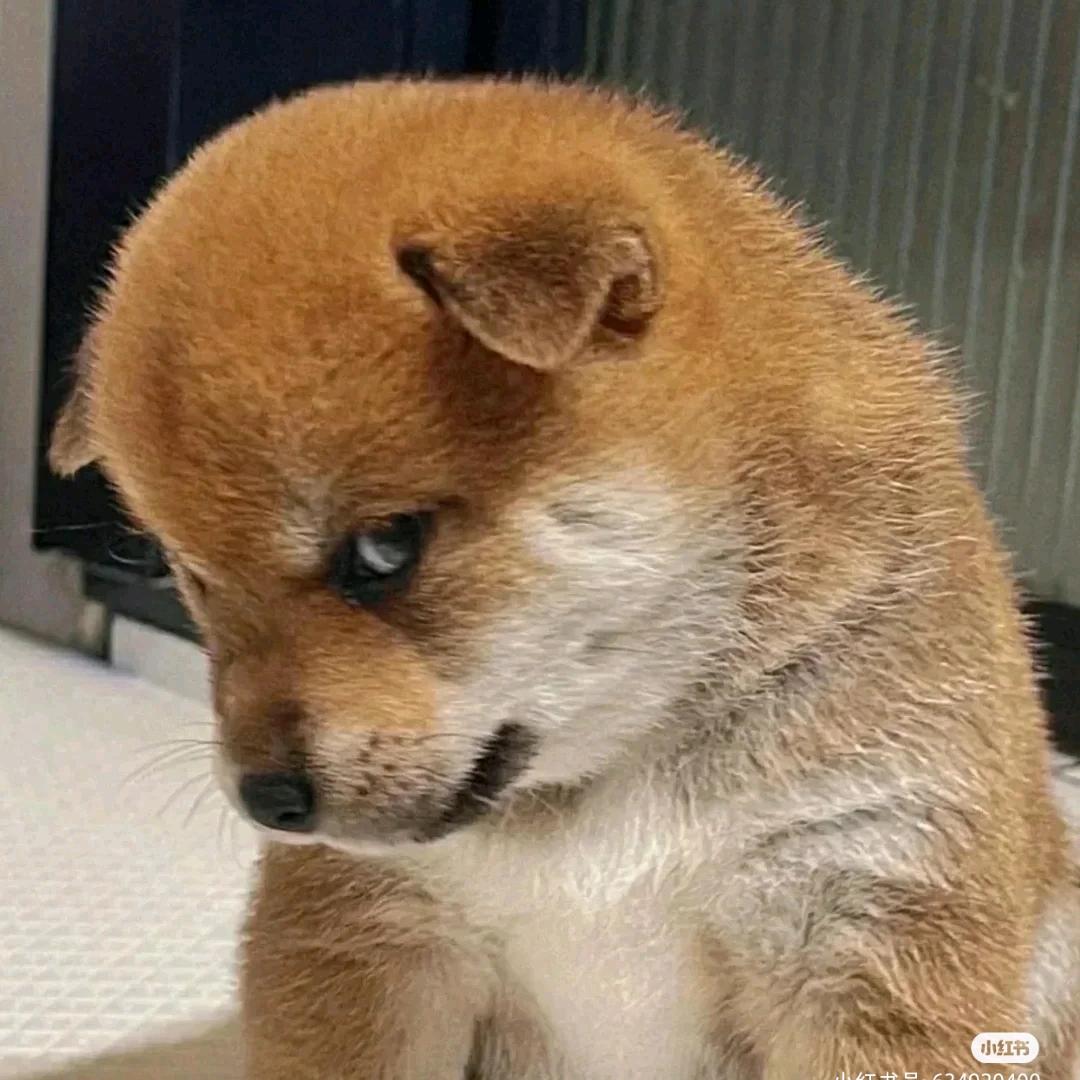 ♛丁小烎♛